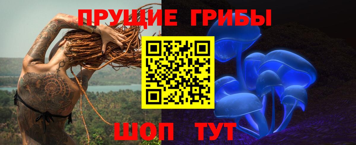 Галлюциногенные грибы Psilocybine cubensis  Вход с VPN  Таганрог 